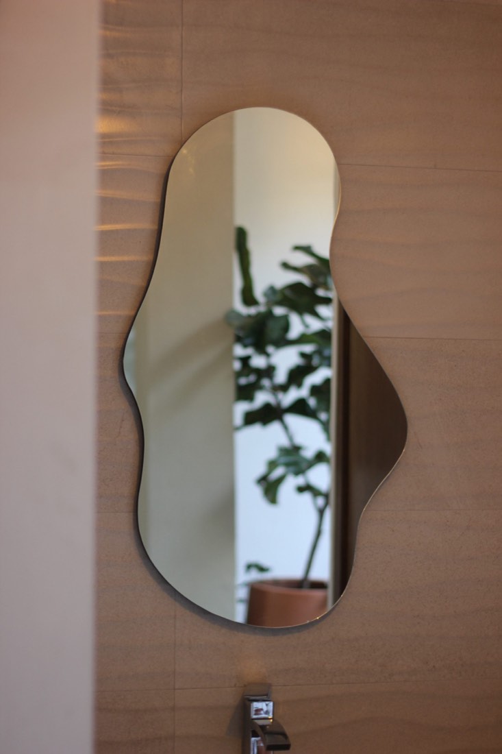 Espejo de forma orgánica reflejando una planta