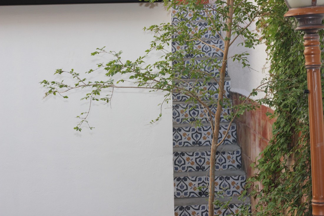 Jardinera de talavera con helechos